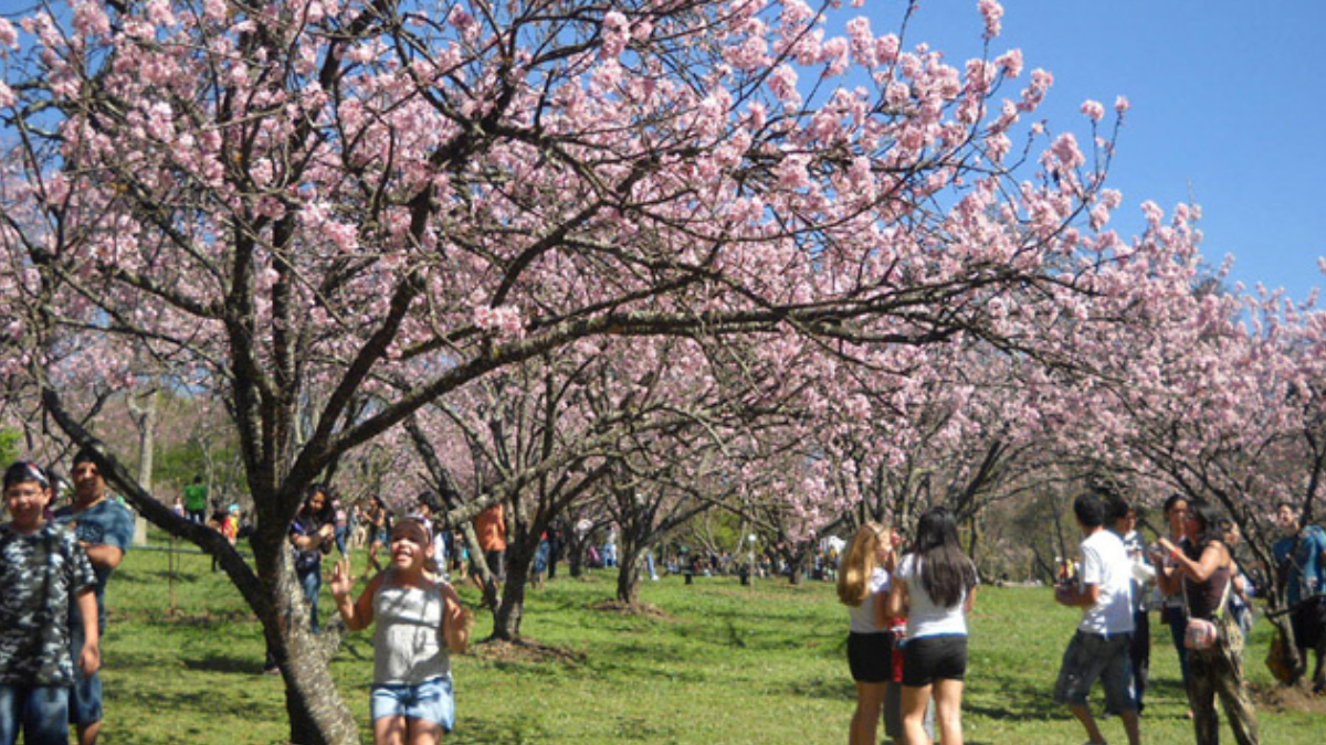 (Foto: Divulgação/Parque do Carmo)