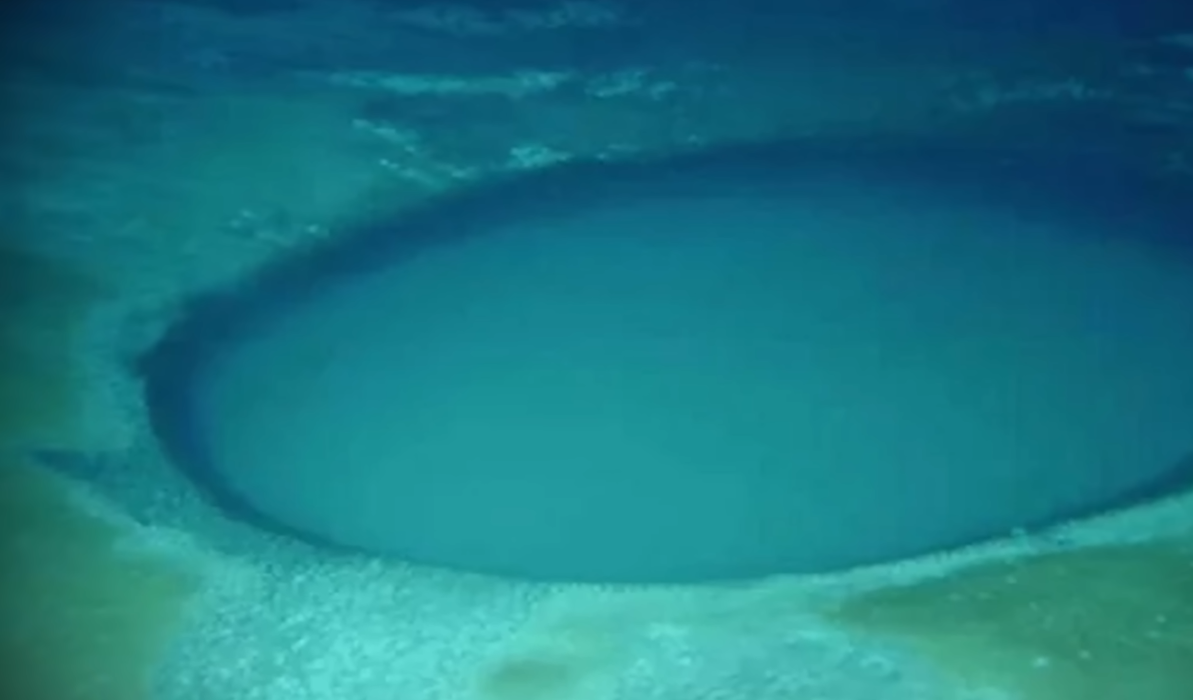 Mesmo em condições extremas, algumas espécies conseguem sobreviver nas bordas do lago submarino (Reprodução: YouTube)