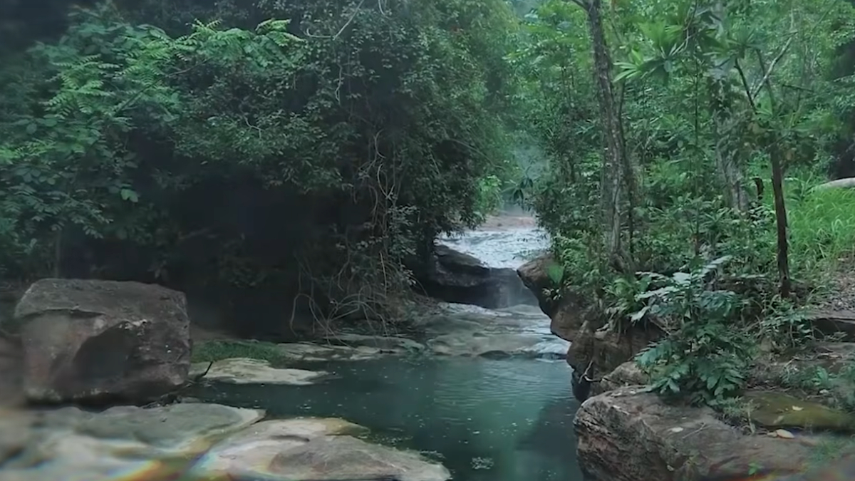 Com temperaturas próximas ao ponto de ebulição, curso d’água amazônico desperta curiosidade e atrai pesquisadores do mundo todo (Reprodução: YouTube)