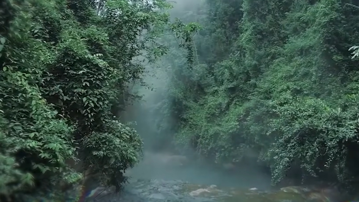 Cercado por vegetação exuberante, o rio fervente se destaca como um dos fenômenos geológicos mais raros do planeta (Reprodução: YouTube)