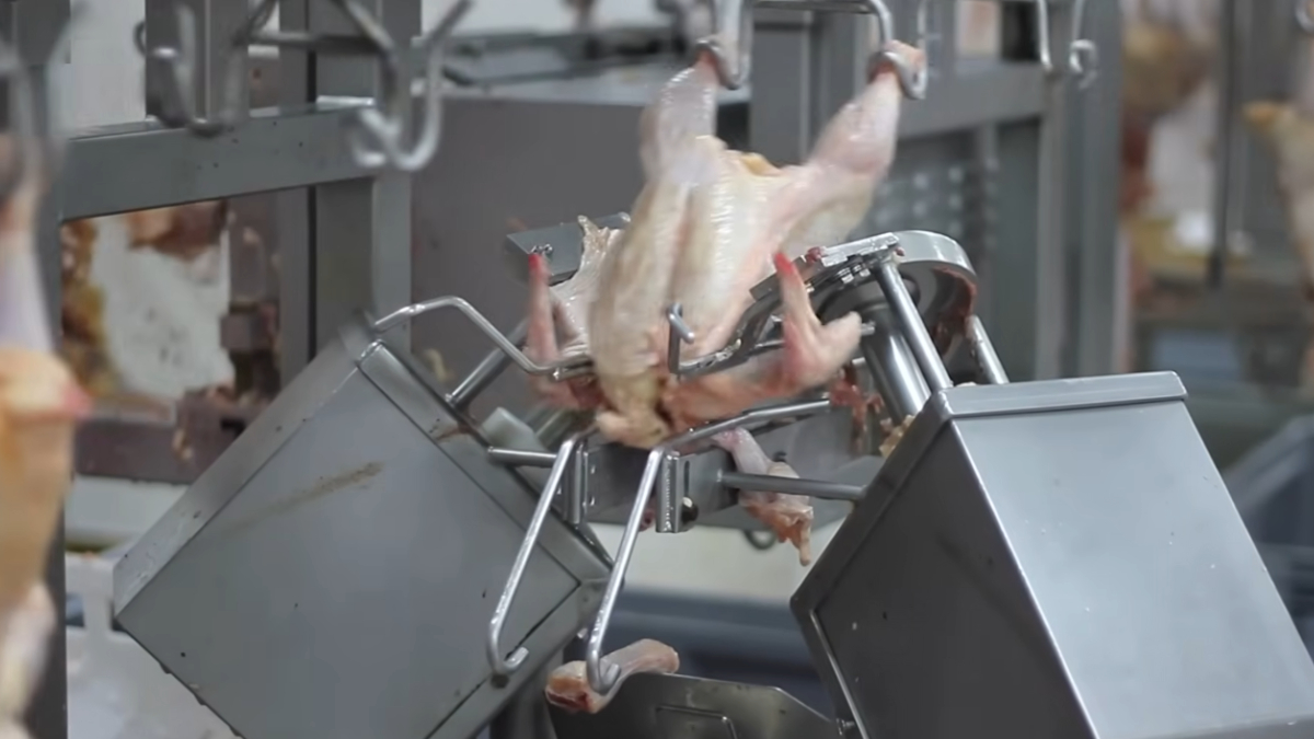 A famosa casquinha dourada dos nuggets é resultado de um processo industrial de empanamento e pré-fritura (Reprodução: YouTube)