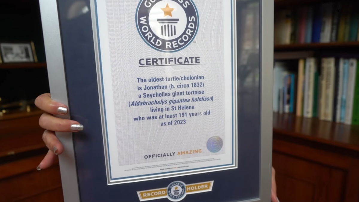 Reconhecida pelo Guinness World Records, Jonathan se tornou um dos maiores símbolos de longevidade animal da atualidade (Reprodução: YouTube)