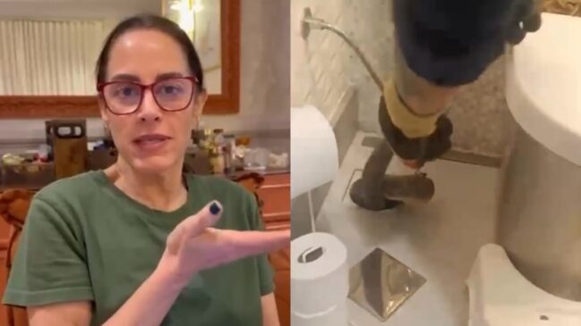 Apresentadora, que cria mais de 11 cobras de estimação, comemorou o reencontro com o animal encontrado no ralo do banheiro da filha (Foto: Reprodução/Instagram)