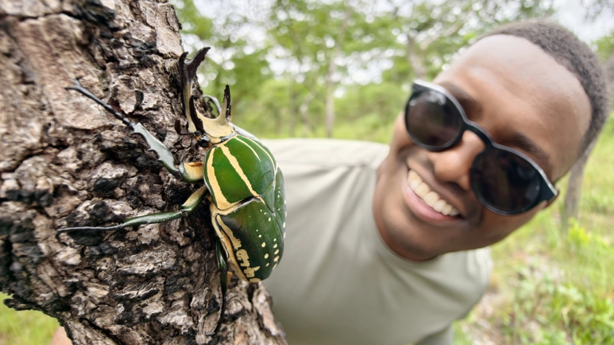 Cientistas alertam que muitas das espécies recém-descobertas no ecossistema de Angola correm o risco de desaparecer antes mesmo de serem totalmente estudadas (Foto: The Wilderness Project)