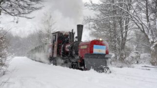 Localizado em Ushuaia, na Argentina, o Trem do Fim do Mundo cruza o Parque Nacional Terra do Fogo (Foto: Divulgação/Secretaria de Turismo/Município de Ushuaia)