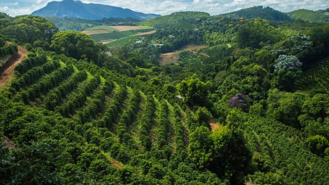 Venda Nova do Imigrante combina clima de montanha, gastronomia típica e paisagens rurais no Espírito Santo (Foto: MTur Destinos/Wikimedia Commons)