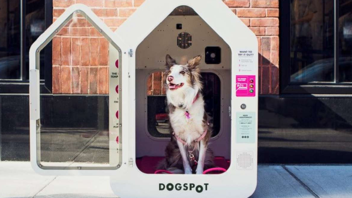 Com monitoramento e proteção contra chuva e calor, os abrigos inteligentes vêm chamando atenção de amantes de cães (Divulgação: Dogspot)