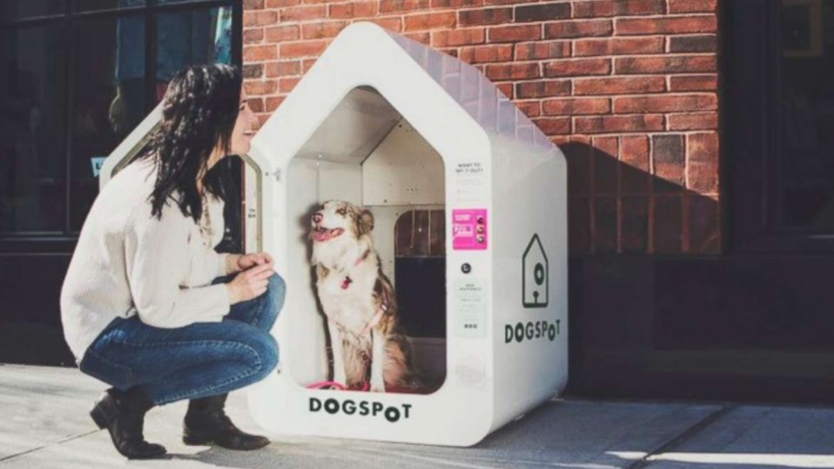 A novidade na Alemanha combina tecnologia e bem-estar animal em cabines equipadas para receber pets temporariamente (Divulgação: Dogspot)
