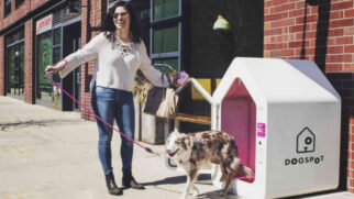 Abrigos inteligentes instalados na entrada de supermercados oferecem um espaço seguro para cães aguardarem seus donos (Divulgação: Dogspot)