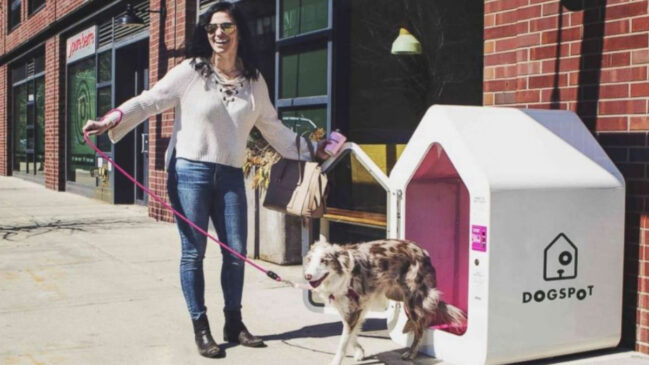 Abrigos inteligentes instalados na entrada de supermercados oferecem um espaço seguro para cães aguardarem seus donos (Divulgação: Dogspot)