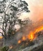 Qualidade do ar pode piorar no interior de SP neste sábado (10/10) enquanto chuvas avançam e regiões enfrentam alto risco de incêndios