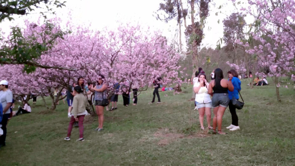 (Foto: Divulgação/Parque do Carmo)