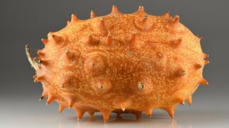 Fruta africana de casca espinhosa, o kiwano já pode ser encontrado em hortifrutis brasileiros (Foto: Ivar Leidus/Wikimedia Commons)