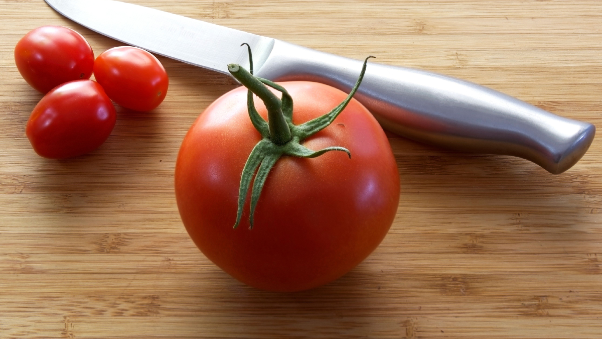 Com luz solar, regas equilibradas e um vaso adequado, o tomateiro pode produzir frutos em aproximadamente 90 dias (Foto: Pexels)