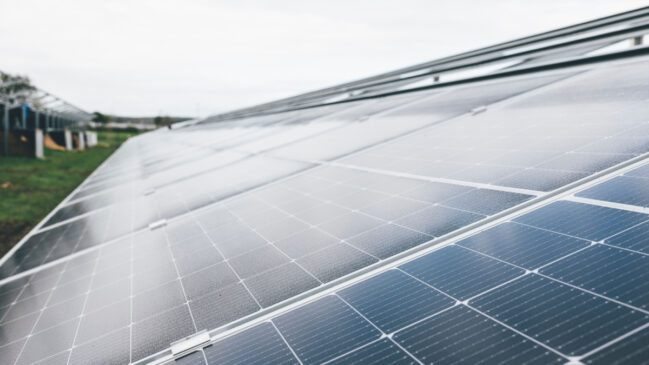 Estudo aponta que os painéis solares podem oferecer benefícios inesperados para a conservação da fauna local (Foto: Pexels)