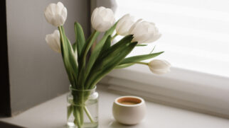 Algumas plantas podem transformar o quarto em um ambiente mais relaxante e agradável para o descanso (Foto: Pexels)