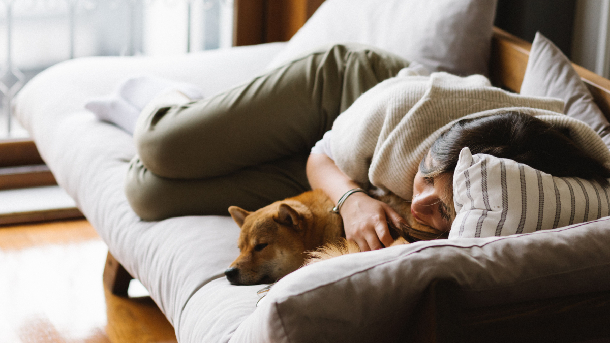 Cães e gatos podem trazer conforto emocional durante a noite, mas a experiência varia de acordo com o comportamento de cada animal (Foto: Pexels)