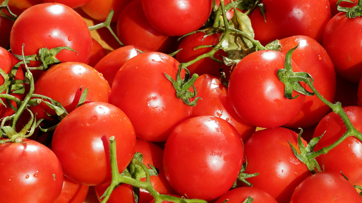 As sementes presentes em um tomate maduro podem germinar facilmente quando plantadas em substrato fértil (Foto: Pexels)