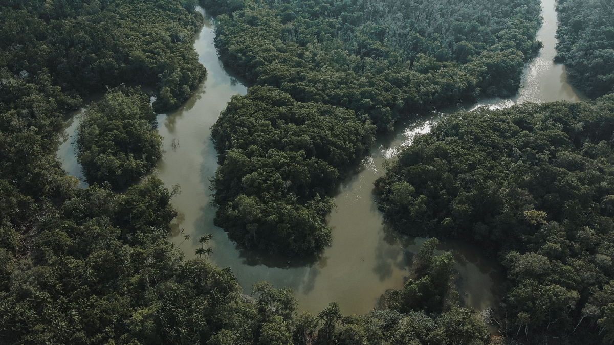 A poeira do Saara atravessa o Oceano Atlântico e leva nutrientes essenciais para ecossistemas como a Floresta Amazônica (Foto: Pexels)