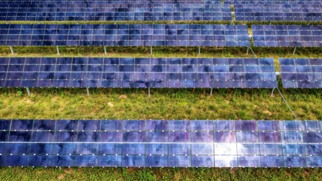 Além de produzir eletricidade, a instalação contribuiu para o surgimento de um ecossistema rico em biodiversidade (Foto: Pexels)