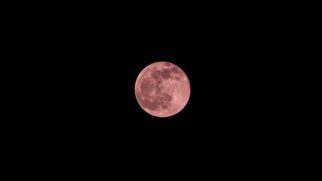 Confira horários de observação no Brasil, o significado do nome e dicas para fotos incríveis do satélite. (Foto: Pexels)