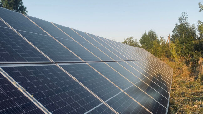 A combinação de energia limpa e biodiversidade revelou um lado pouco conhecido das fazendas solares (Foto: Pexels)