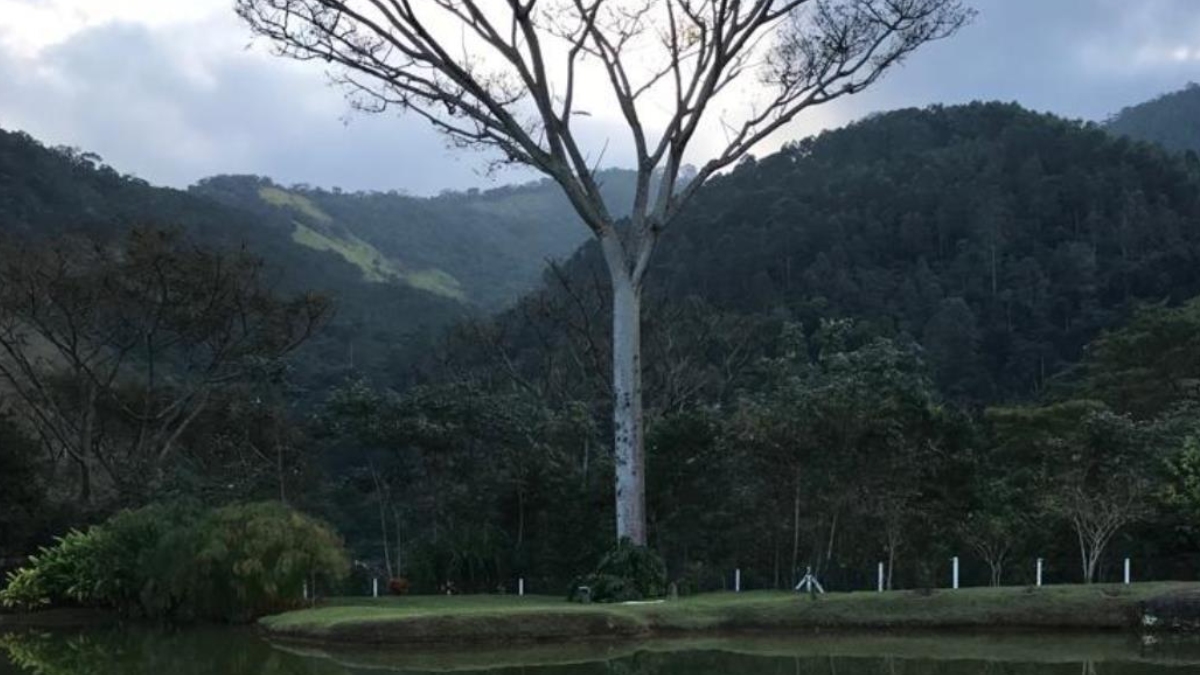 Piquete, no Vale do Paraíba