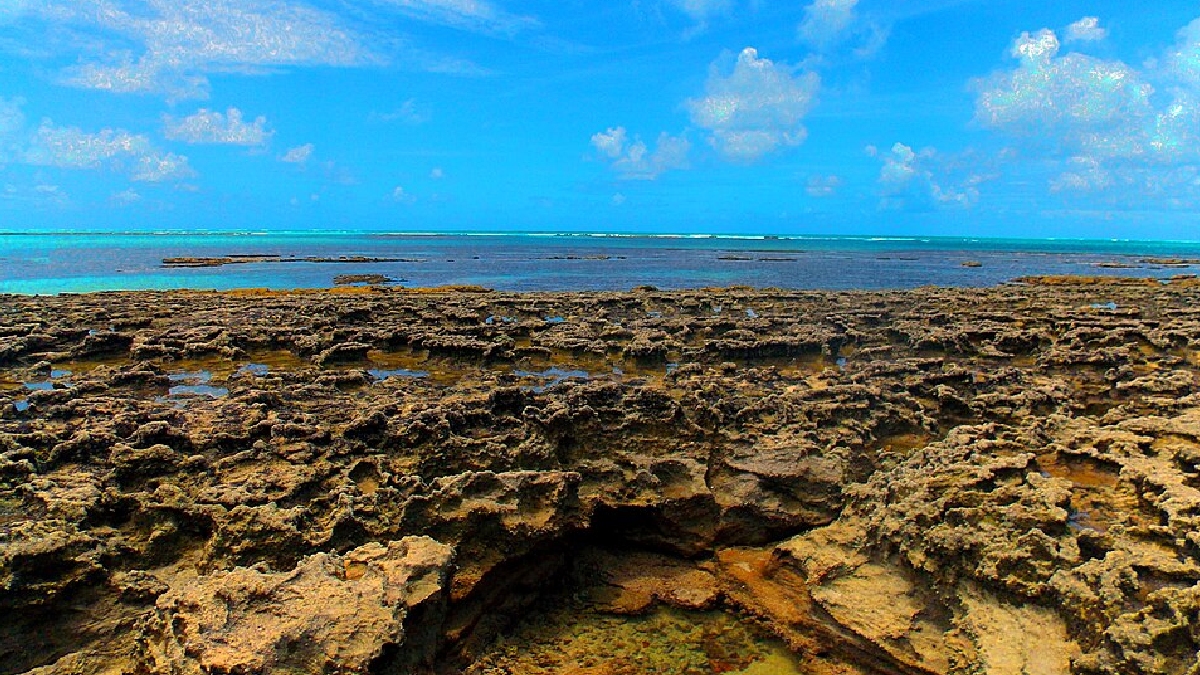 Praia de Carneiros