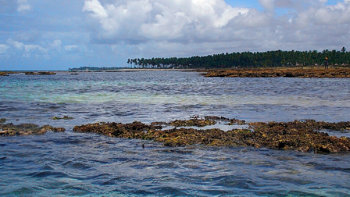Praia de Carneiros