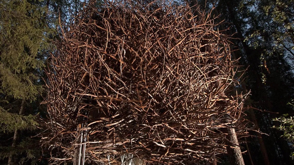 O Treehotel ficou conhecido por integrar arquitetura e natureza, criando experiências que parecem saídas de um cenário de fantasia (Foto: Divulgação/Treehotel)