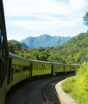 Uma das viagens de trem mais bonitas do mundo está no Brasil e une capital ao litoral