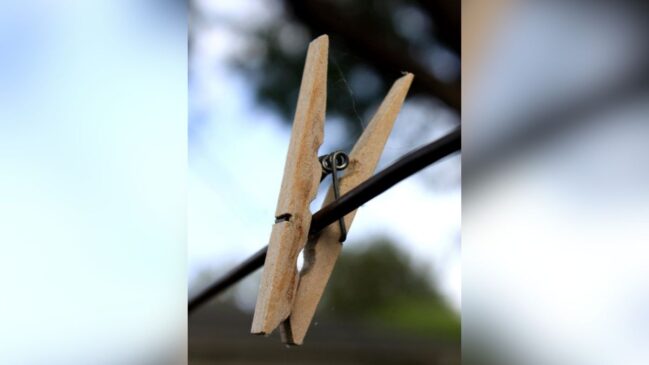 A roupa deve ser encaixada apenas no furto maior, não dobrada sobre o fio do varal (Foto: Divulgação/Pixnio)