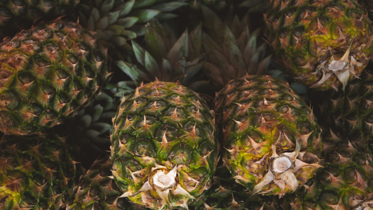 Lavouras de abacaxi em Pombos impulsionam a economia local e abastecem mercados de diversos estados brasileiros (Foto: Anna Klymenko/ Pexels)