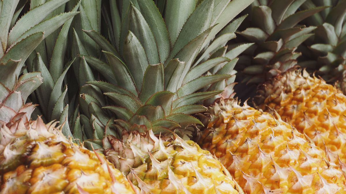 A produção de abacaxi faz de Pombos um dos principais polos agrícolas de Pernambuco e do Nordeste (Foto: Fandy Much/ Pexels)