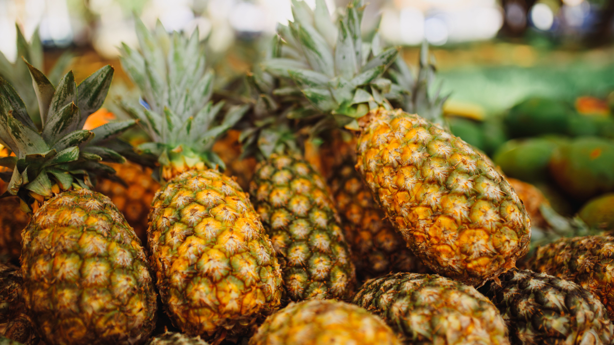A tradição no cultivo do abacaxi transformou Pombos em um dos maiores produtores da fruta em Pernambuco (Foto: Matheus Bertelli/ Pexels)