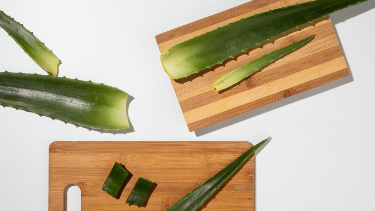 Babosa Aloe Vera 
