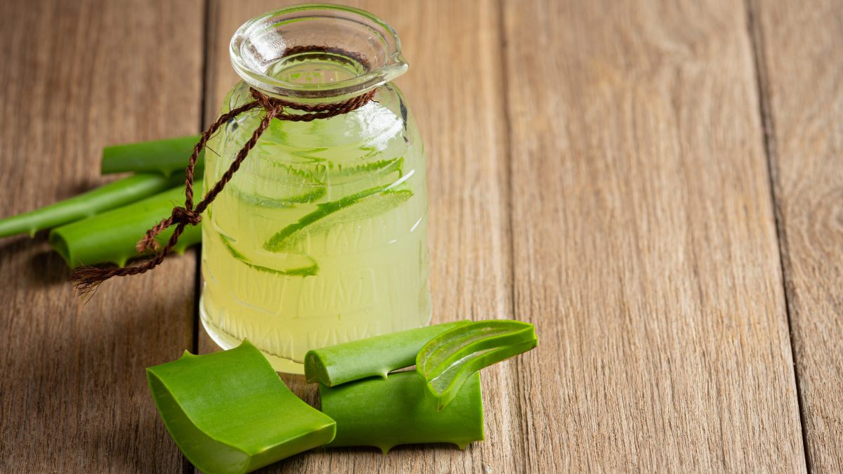 Babosa Aloe Vera 