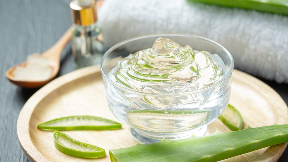 Babosa Aloe Vera 