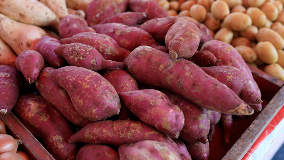 Mistura de batata-doce e maçã no liquidificador pode ser uma opção nutritiva para o café da manhã ou lanche (Foto: Matheus Bertelli/ Pexels)