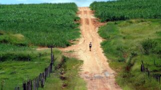 Caminho da Fé