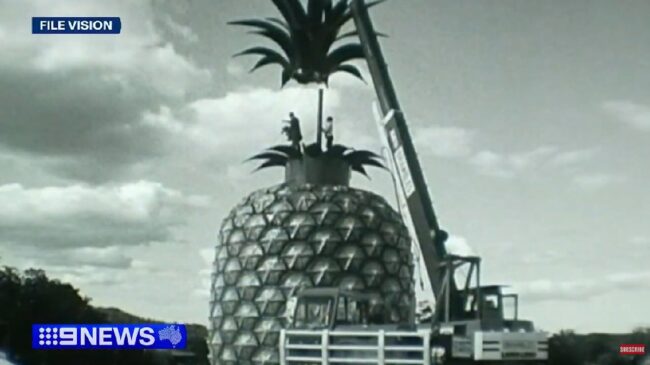 O grande auge do Big Pineapple aconteceu nos anos 1980 (Foto: Reprodução/Youtube/@9minutesaustralia)
