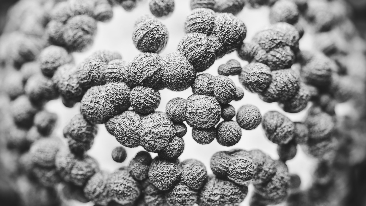 Proteína tau forma emaranhados nos neurônios e acelera a degeneração cerebral, aponta estudo (Foto: Marek Piwnicki/ Pexels)
