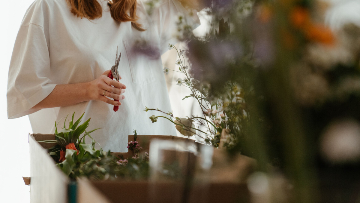 Com a técnica correta, a poda de inverno estimula novos brotos e reduz o risco de pragas e doenças (Foto: cottonbro studio/ Pexels)