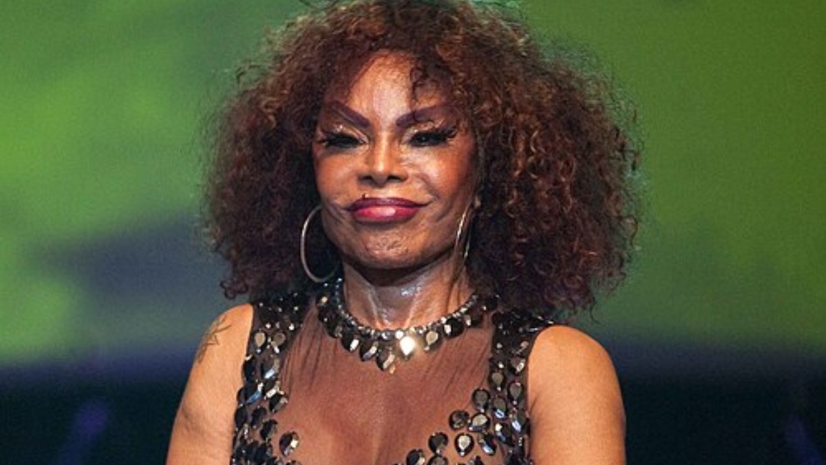 Elza Soares (Foto_ Ministério da Cultura_Wikimedia Commons) (1)