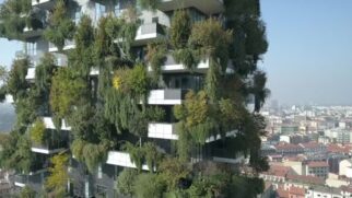 jardim vertical