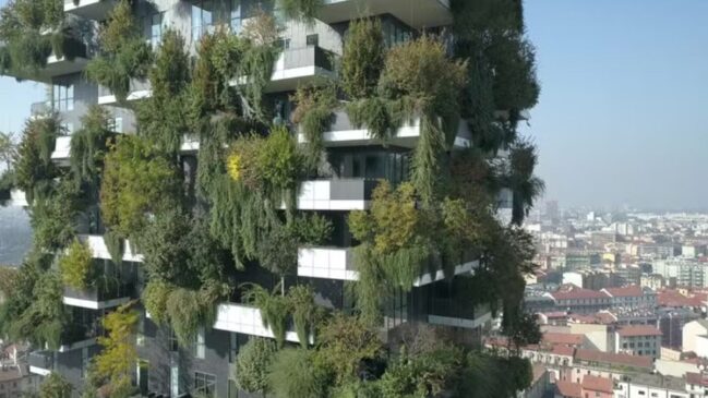 jardim vertical