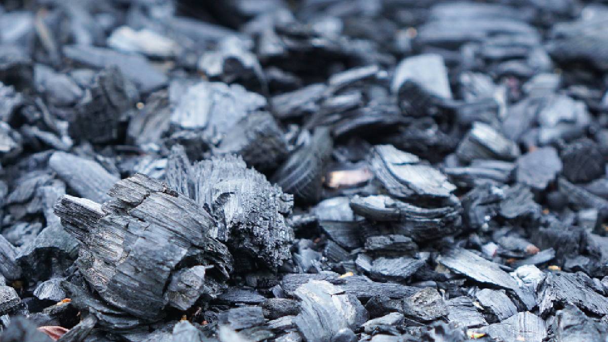 Projeto Biochar utiliza biocarvão obtido de caroços de azeitona para criar um asfalto mais resistente e com menor impacto ambiental (Foto: Pixabay)