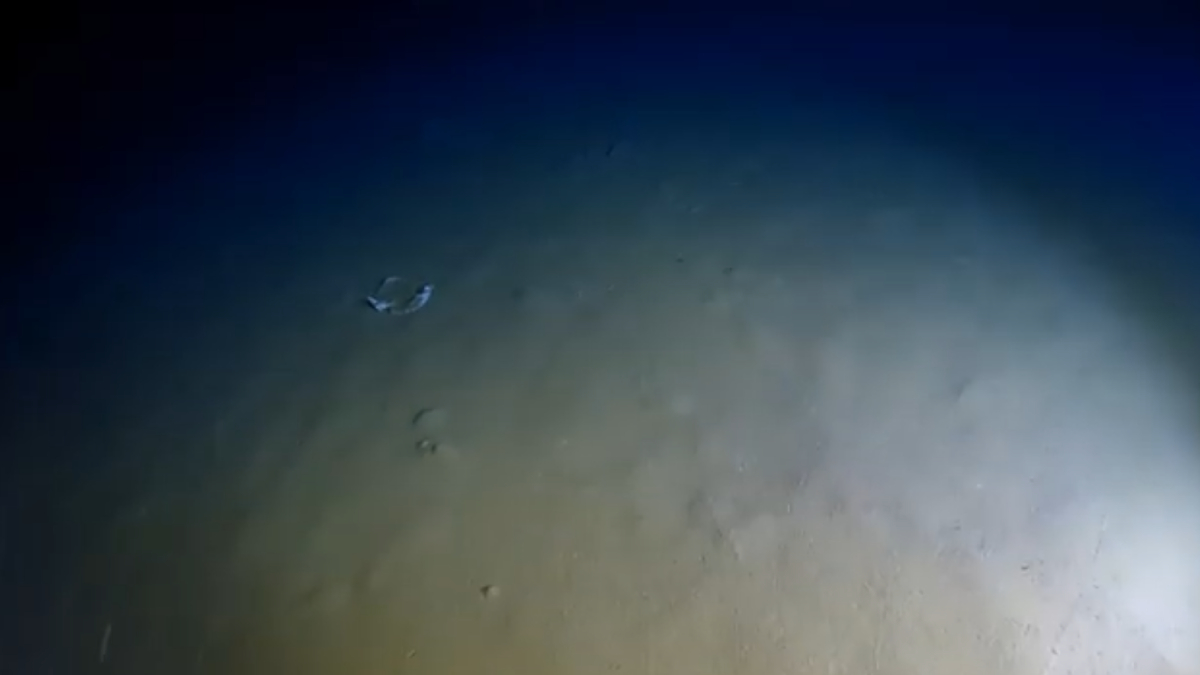 Sacolas plásticas, garrafas e outros resíduos foram encontrados em uma das regiões mais inacessíveis do oceano (Reprodução: Oceanus-Lab/ YouTube)