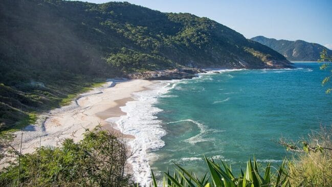 Guaratiba no Rio de Janeiro (Foto_ Daniela Lopes Segadilha_Wikimedia Commons)