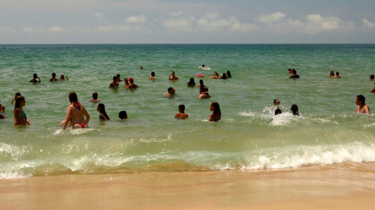 Guaratiba no Rio de Janeiro (Foto_ Oscar Fava_Wikimedia Commons)